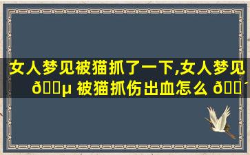 女人梦见被猫抓了一下,女人梦见 🌵 被猫抓伤出血怎么 🐴 *